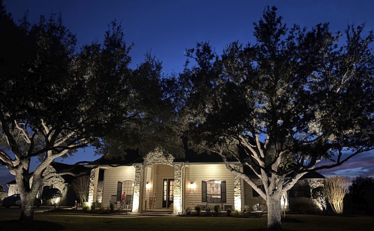 Trees used for soft moonlighting